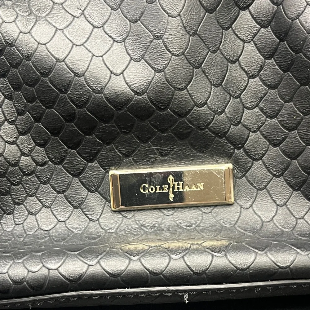 Cole Haan crossbody - Picture 2 of 8